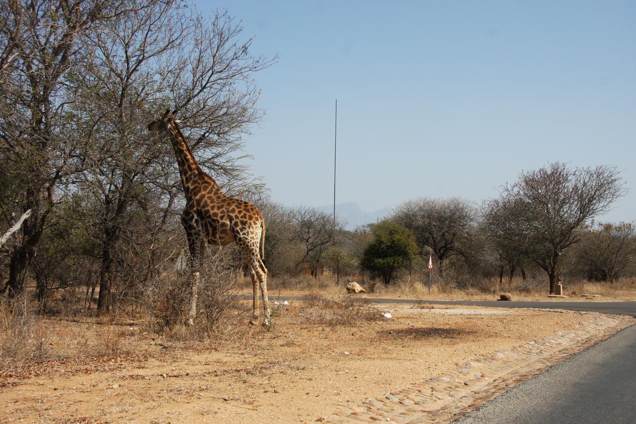 Giraffe Lodge Ходспруит Екстериор снимка