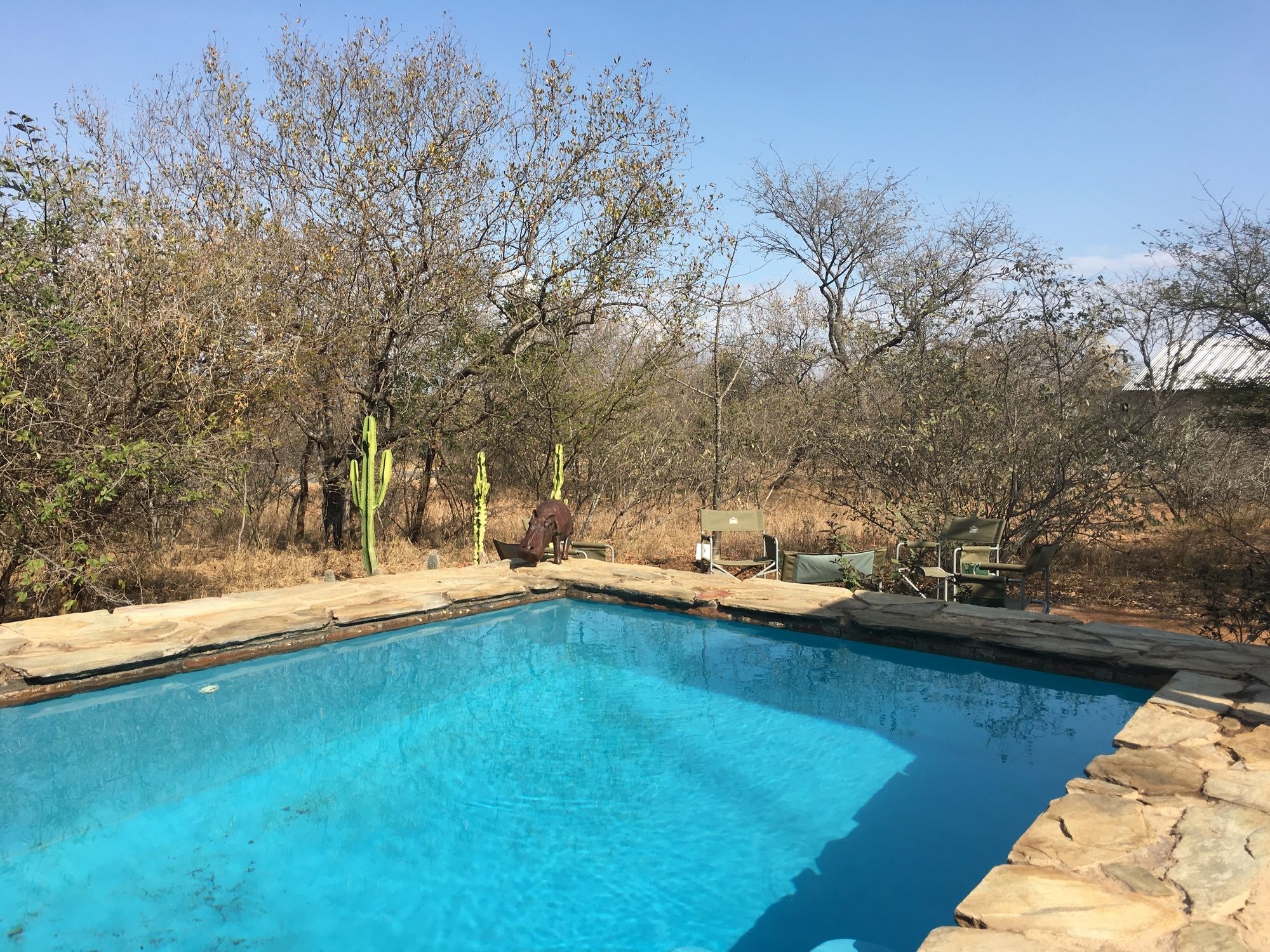 Giraffe Lodge Ходспруит Екстериор снимка